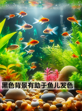 鱼缸背景贴纸缸外静电贴水族箱专用纯黑色背景壁纸玻璃装饰贴膜