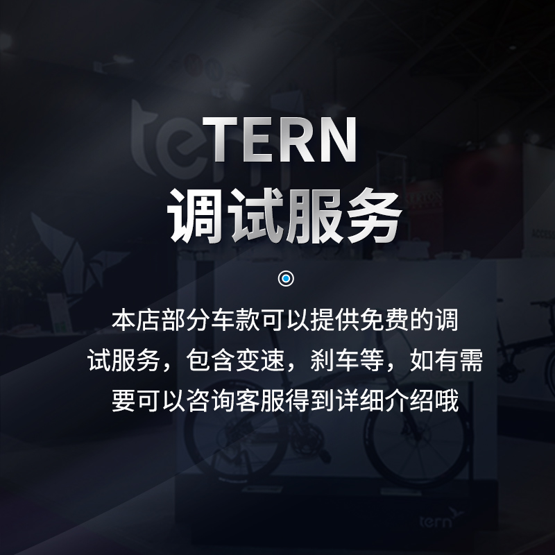 Tern燕鸥Verge P10折叠自行车22寸451竞速铝合金超轻便通勤折叠车-图1