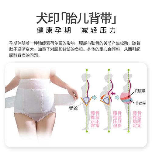 犬印托腹带孕妇专用孕中期晚期耻骨痛护腰夏季透气防勒肚子腰托护 - 图1