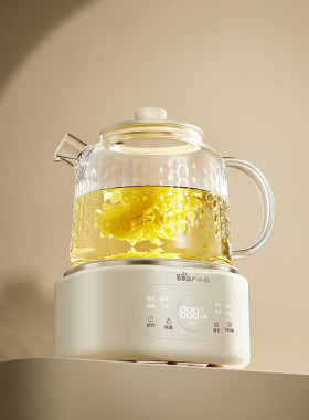 小熊迷你养生壶小型花茶壶全玻璃