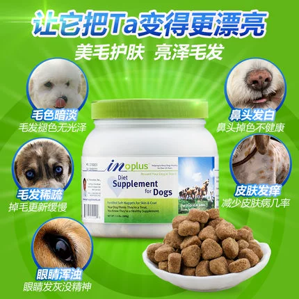 Американский Metrhhoeia Lecithin Dog Clood Crotective Extra 680G Петт петтичный медведь Золотой Мао изюм