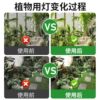 Plant fill light, punch-free growth spotlight, household indoor photosynthesis full spectrum LED downlight imitating the sun