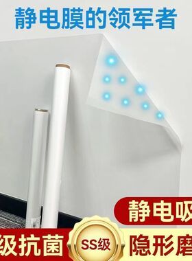新款静电墙面保护膜乳胶漆防猫抓沙发贴防静电贴防脏防水木门贴纸