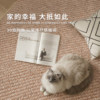 Imitation sisal bay window mat machine washable and cat scratch resistant