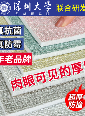 【超强抗菌墙贴】-15年老品牌