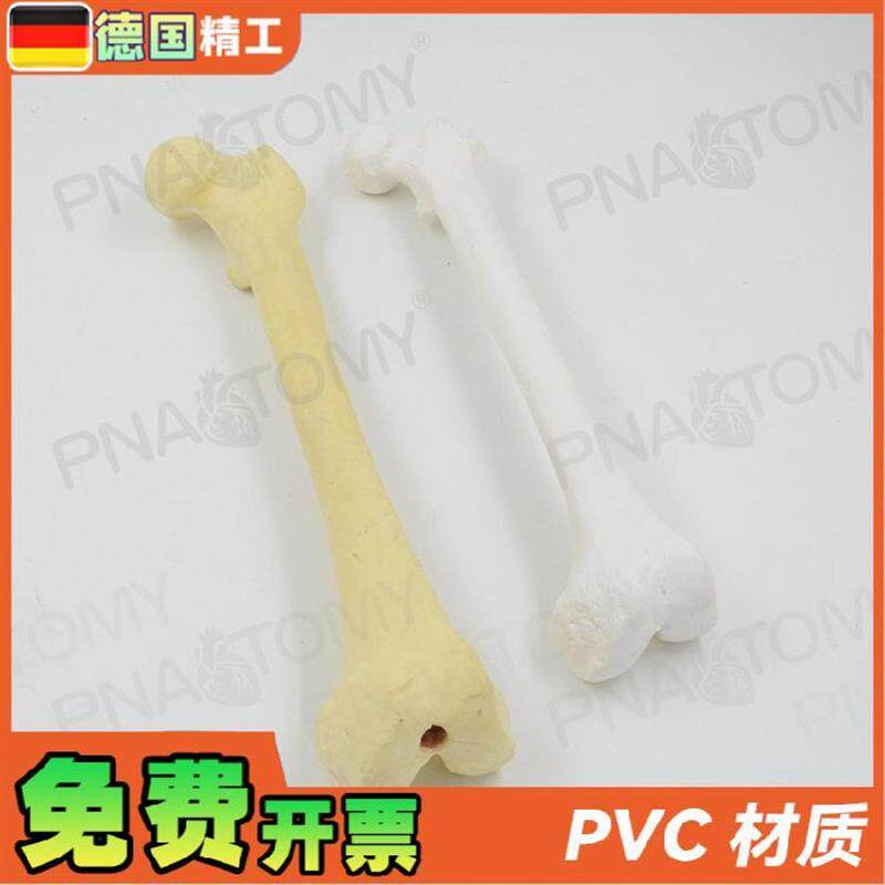 德国】1比1仿真骨k手术实操股骨头骨科pfna人工合成创伤骨科操作 - 图2