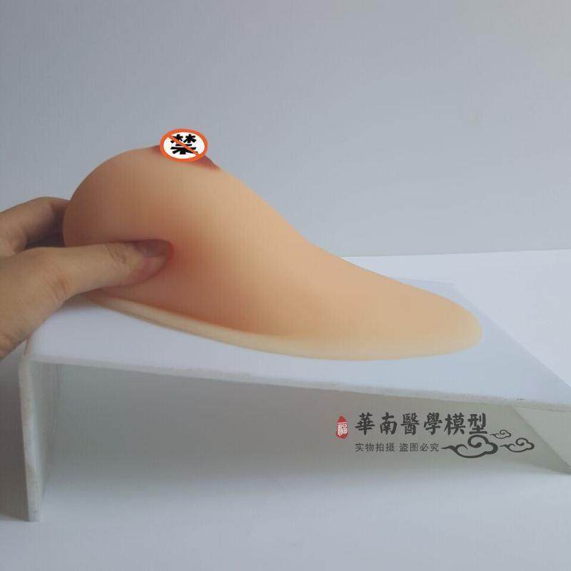 家政月嫂医学女性乳房带乳晕催乳师培训I道具哺乳喂养教学教具模,淘宝优惠券,粉丝福利购,淘宝优惠卷