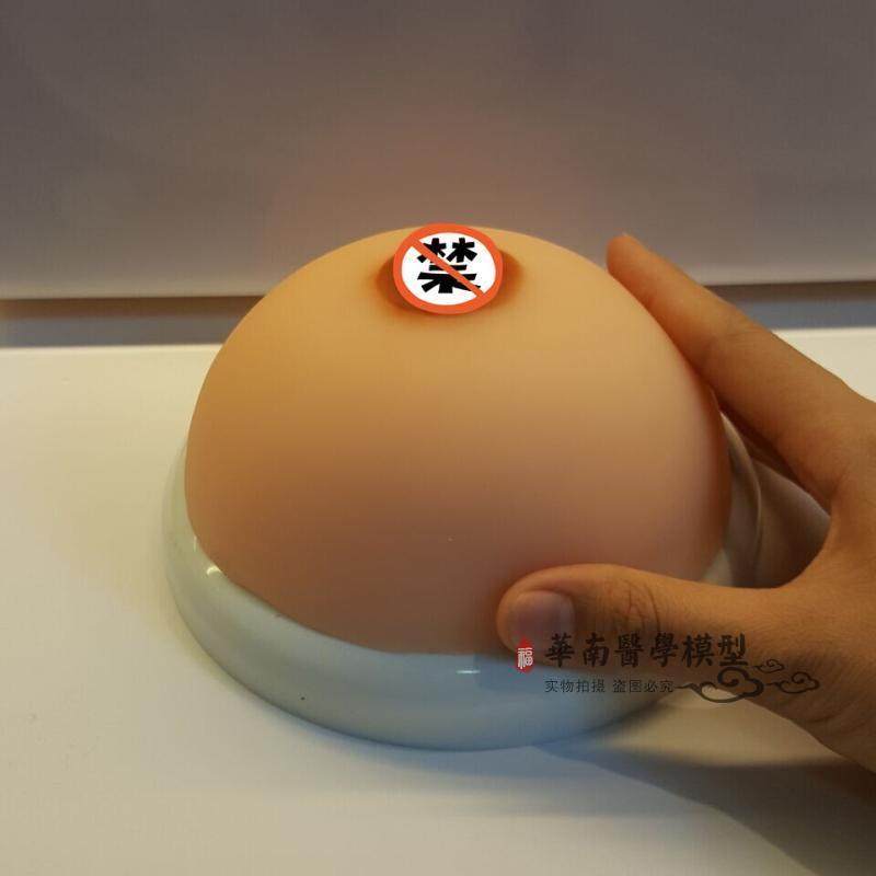 家政月嫂医学女性乳房带乳晕催乳师培训I道具哺乳喂养教学教具模,淘宝优惠券,粉丝福利购,淘宝优惠卷