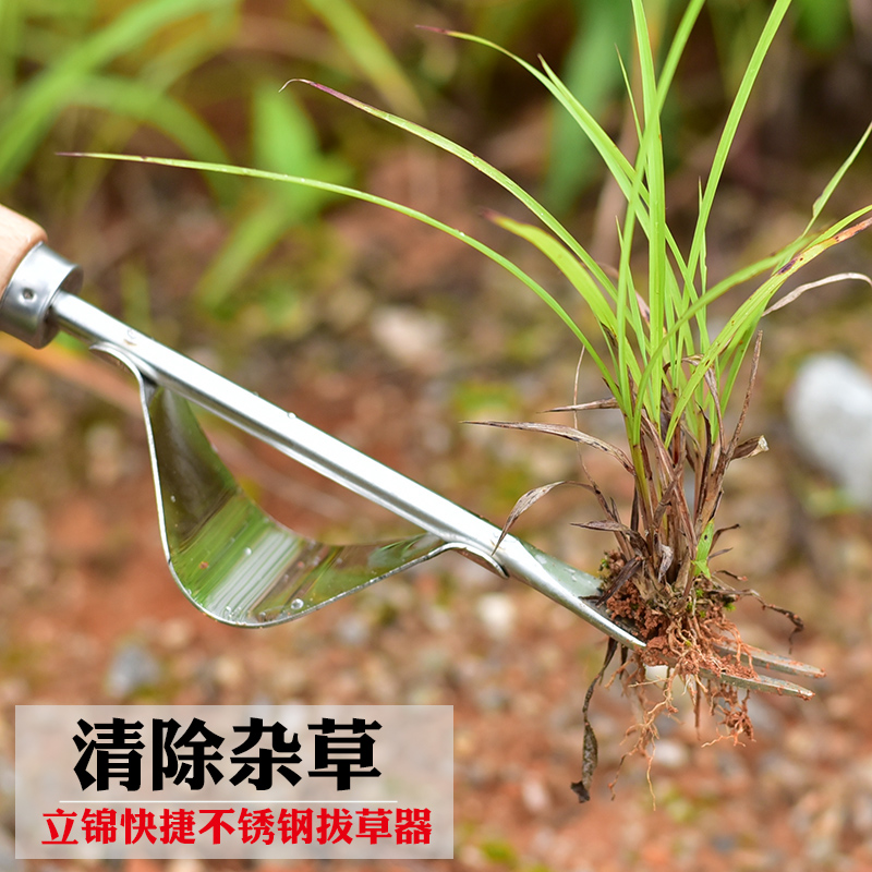 农用园艺除草工具拔草神器起根拔草器手动起苗器家用小铲子挖野菜 - 图2