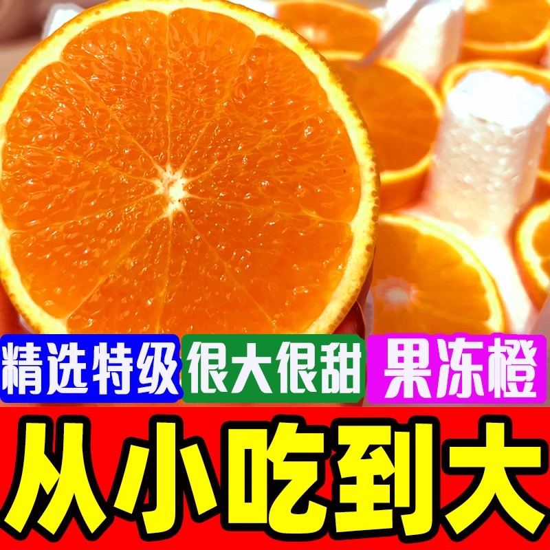 【爱媛38号果冻橙】正宗四川眉山爱媛果冻橙新鲜整箱包邮k - 图1
