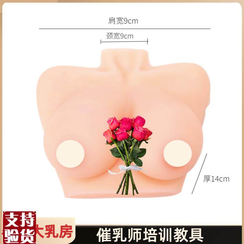 女性乳房模型催乳师培q训道具哺乳教学模型硅胶假乳房医学教具,淘宝优惠券,粉丝福利购,淘宝优惠卷
