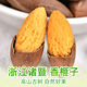Torreya seeds new arrival Zhuji Fengqiao specialty