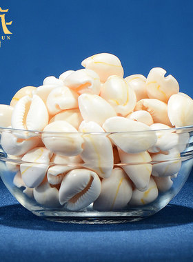 藏村供曼扎七宝石 天然贝壳藏族七宝石 八供修曼茶罗装饰装饰用品