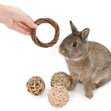 И мы aite кроличьи травяные эскизы игрушки голландская свинья Тоторо Белка естественным образом измельчение зубов закуски