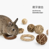 И мы aite кроличьи травяные эскизы игрушки голландская свинья Тоторо Белка естественным образом измельчение зубов закуски