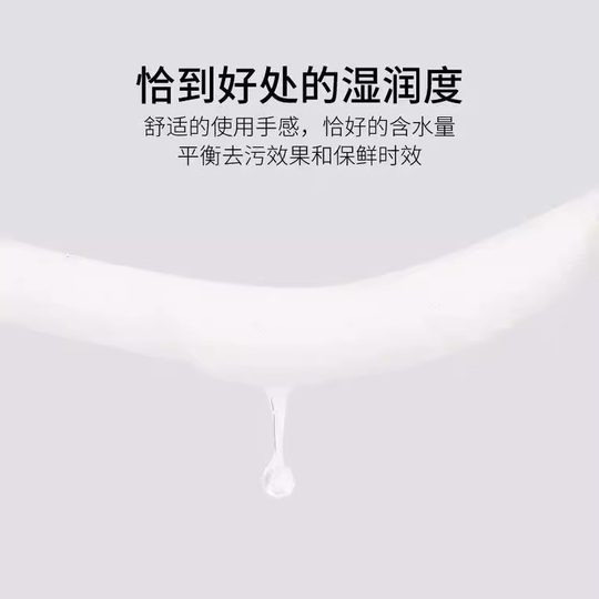 户外随身加量婴儿湿巾去污厕纸厨房油烟机清洁湿纸巾专用大包装