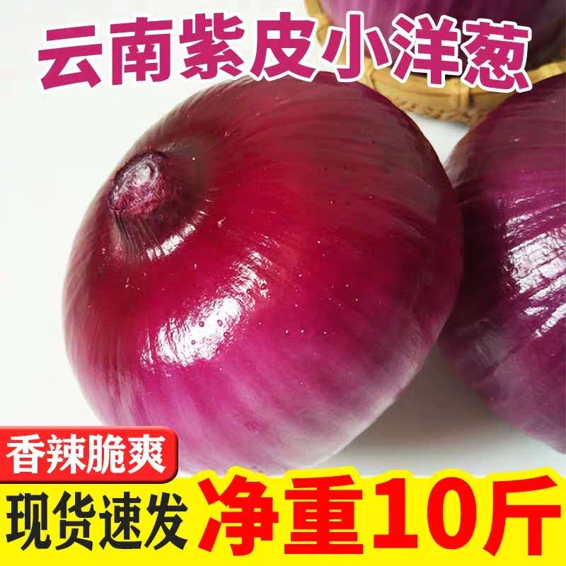 云南新鲜洋葱10斤紫皮洋葱头农家蔬菜红皮葱包邮。 - 图1