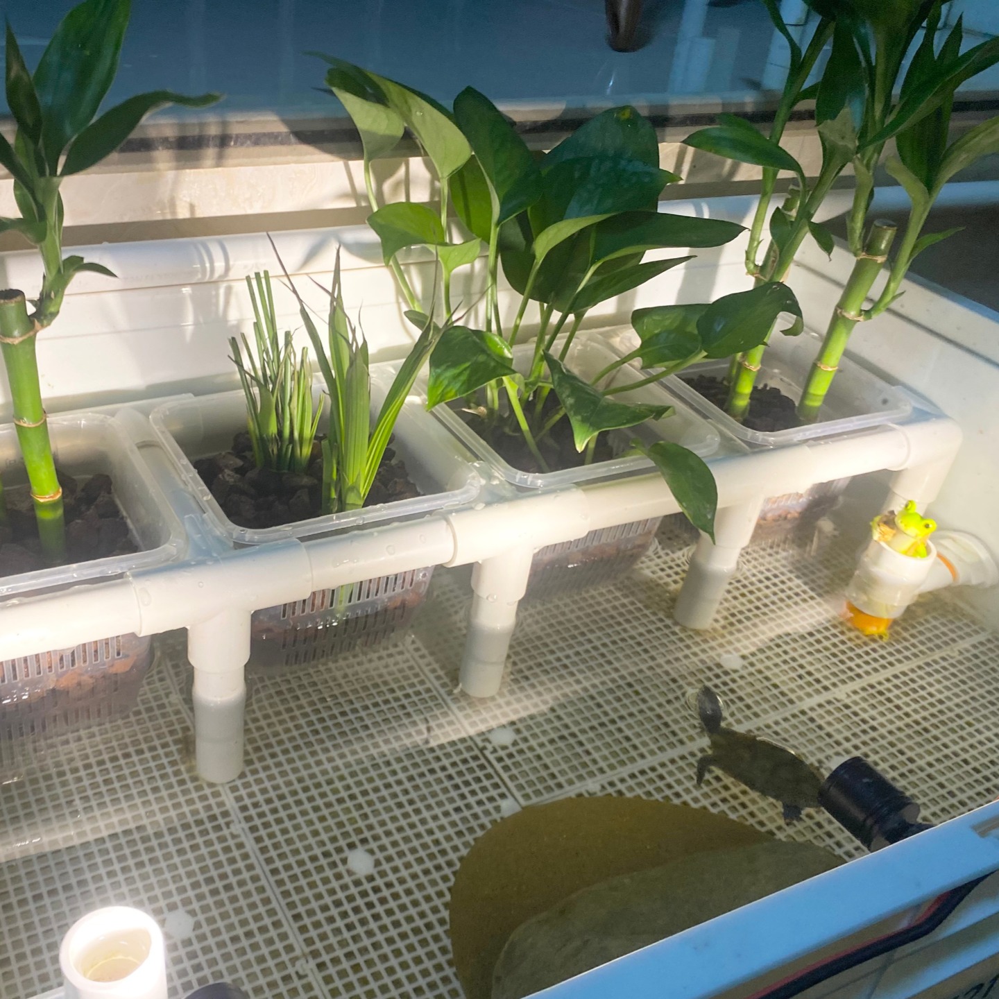 生态缸简约水培绿植造景定植篮支架乌龟缸固定鱼缸种植支撑架子 - 图0