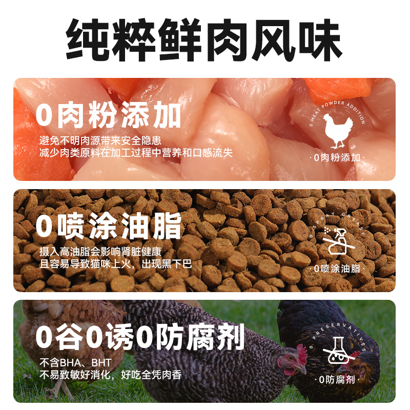 朗仕烘焙猫粮鲜肉无谷全价营养鲜乳鸽火鸡肉幼猫成猫粮通用试吃装 - 图2