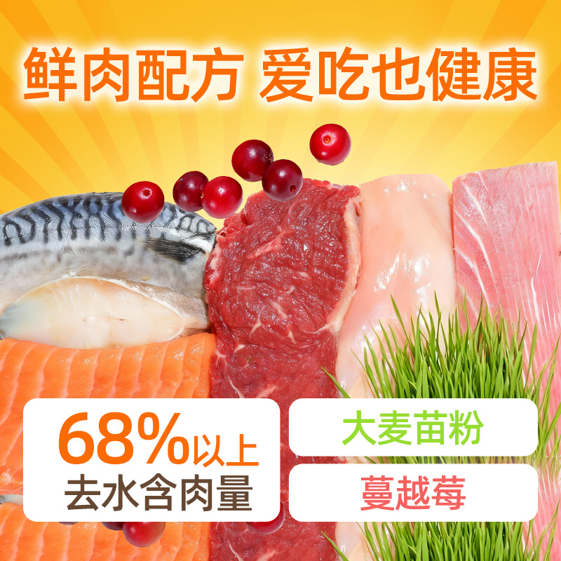 朗仕猫条猫零食幼猫营养猫咪肉泥牛磺酸补水猫罐头湿粮罐头100支