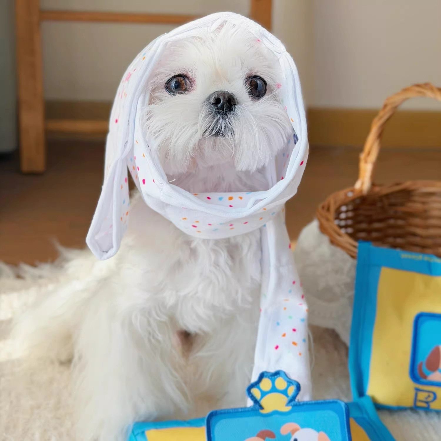 新款宠物玩具狗狗嗅闻训练湿纸巾 耐咬藏食漏食益智训练自嗨玩具,淘宝优惠券,粉丝福利购,淘宝优惠卷