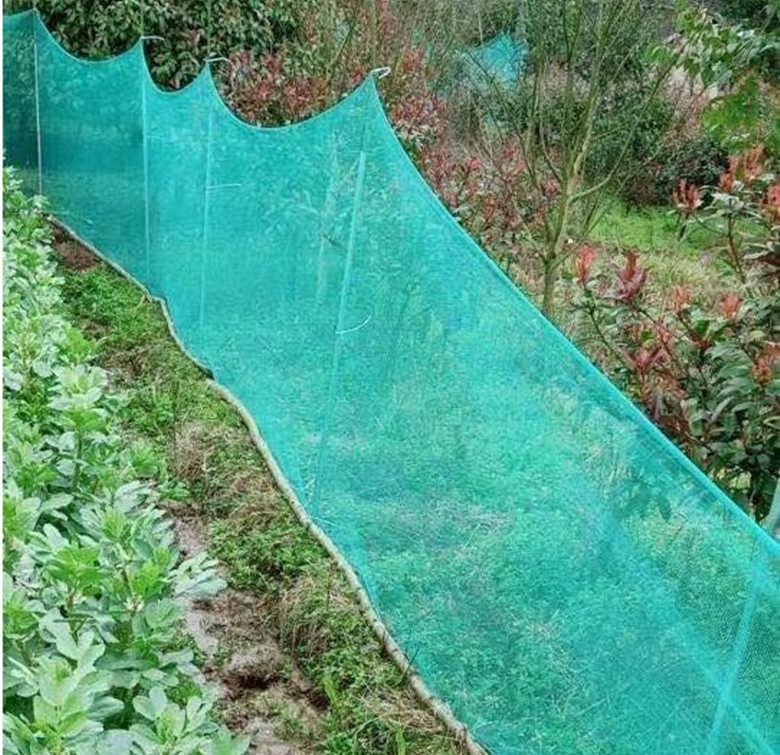 果园围栏防鸟网养鸡养殖网樱桃树网全新塑料网围栏防护天网 - 图1