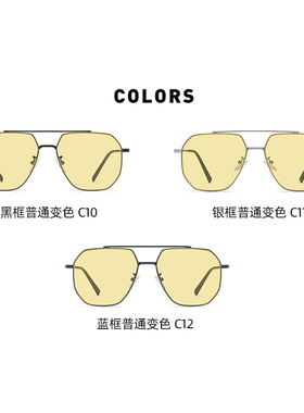 经典男士双梁太阳镜 夜视感光变色黄变灰眼镜 金属框架尼龙片墨镜