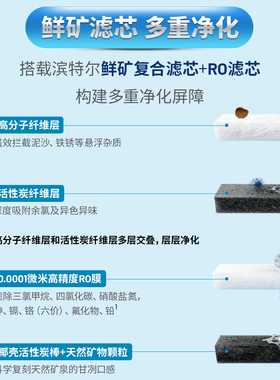 滨特尔家用反渗透直饮净水器前置