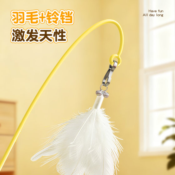 Cat toy cat stick, cat self-pleasure and boredom relief artifact