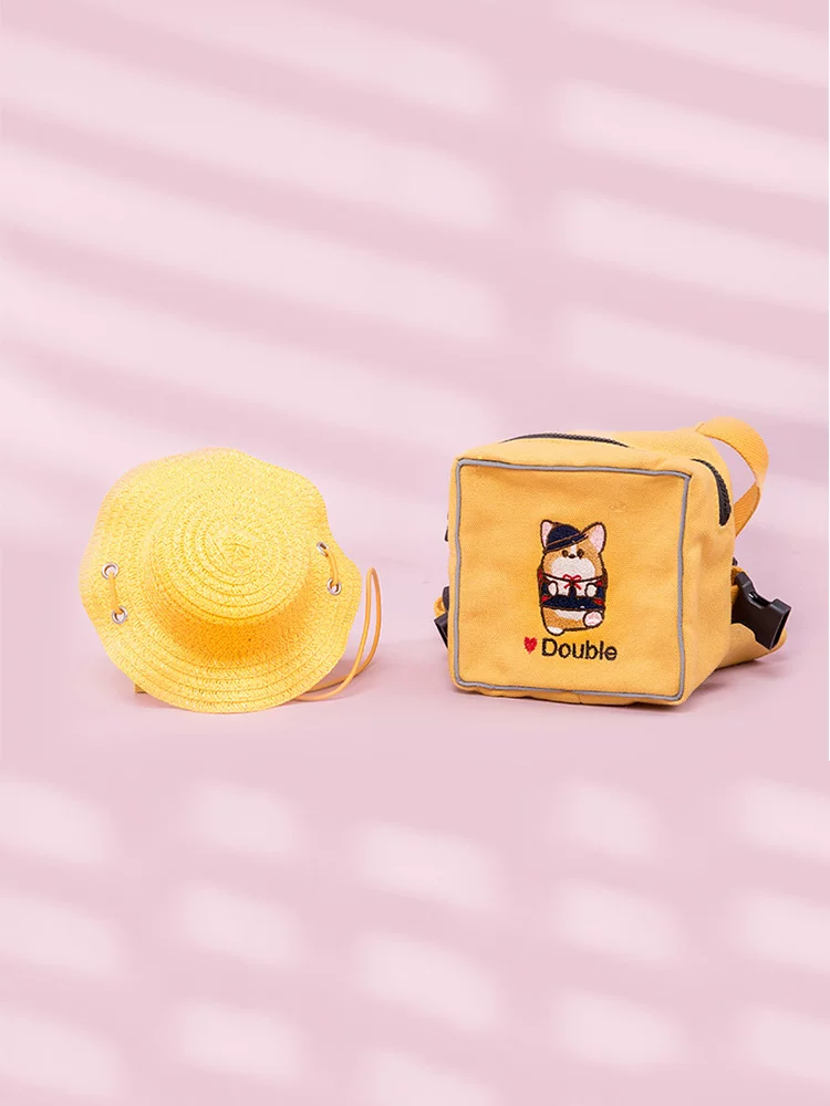 Backpack with leash, school bag to go out