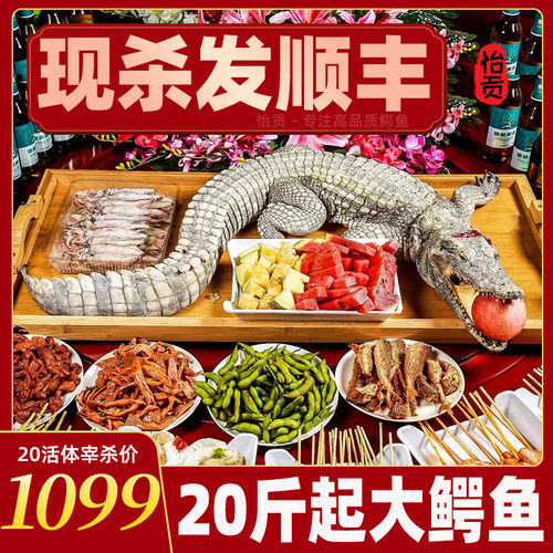 鳄鱼肉新鲜整只现宰 20斤起整条大鳄鱼活体宰产地顺丰包邮茂名发 - 图0