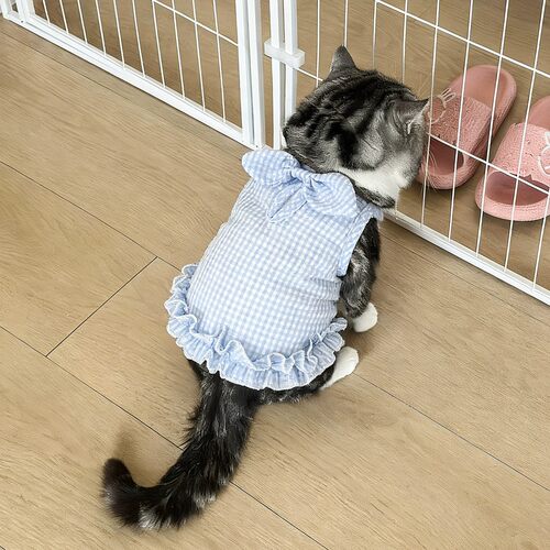 猫咪衣服防掉毛薄款透气夏季清新格子蝴蝶结背心宠物狗狗衣服柔软 - 图1