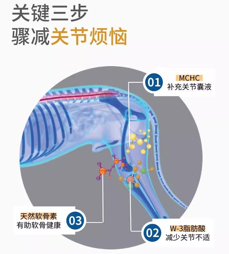 关节强 德国维氏100ml500ml维福12 猫咪狗狗髋关节髌骨脱位膝胯宝,淘宝优惠券,粉丝福利购,淘宝优惠卷