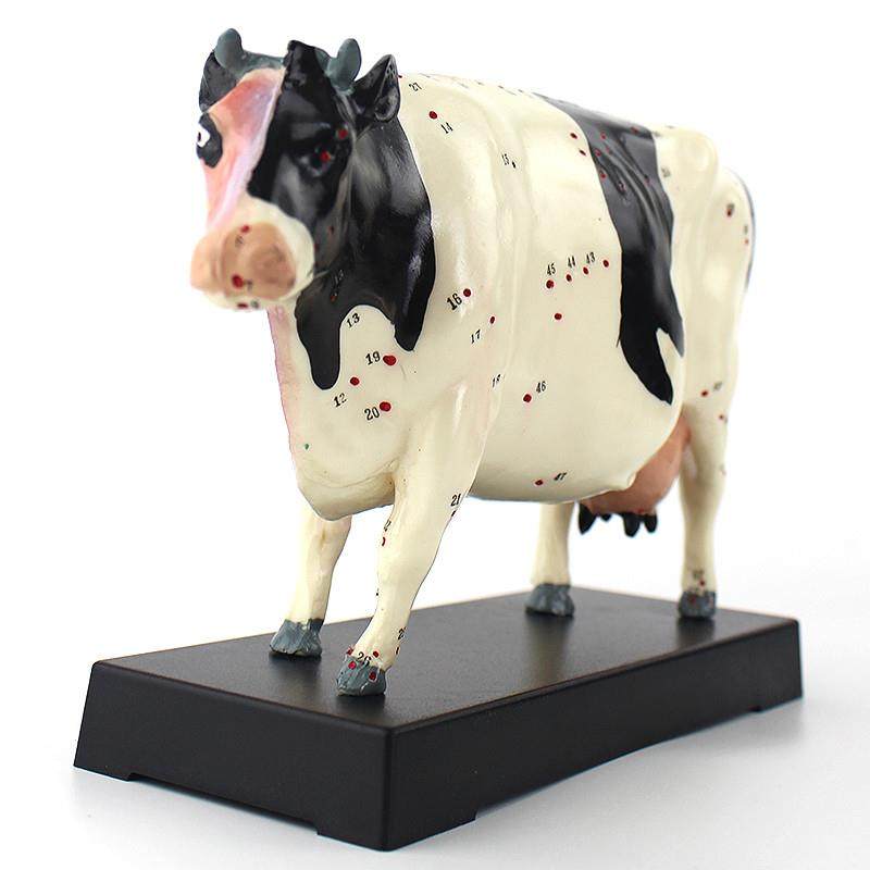 ENOVO颐诺牛针灸穴位模型物解剖模型宠物模型生物畜牧教学针灸,淘宝优惠券,粉丝福利购,淘宝优惠卷