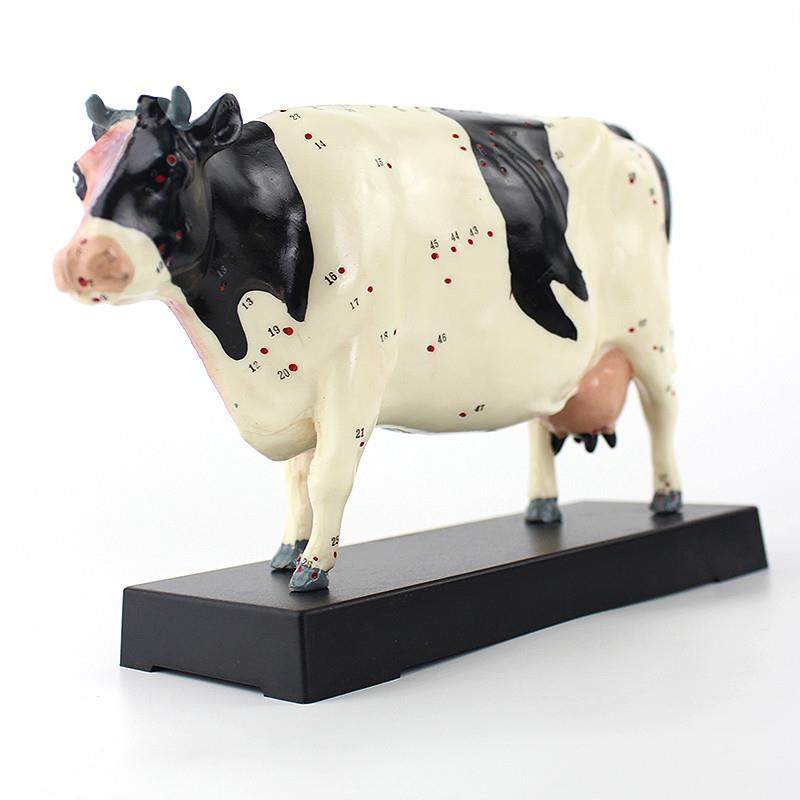 ENOVO颐诺牛针灸穴位模型物解剖模型宠物模型生物畜牧教学针灸,淘宝优惠券,粉丝福利购,淘宝优惠卷