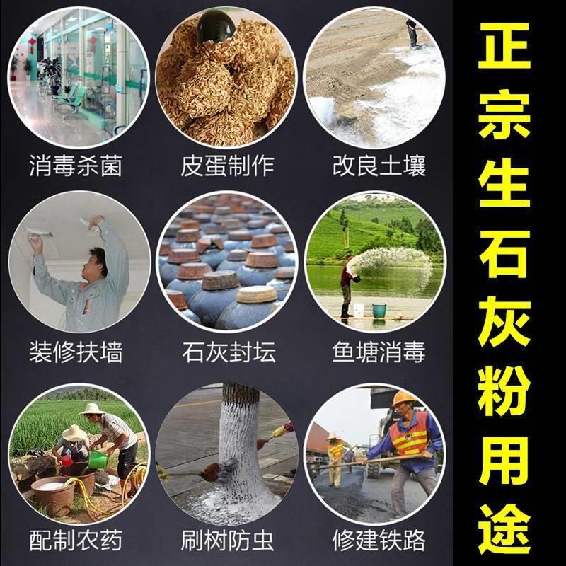 生石灰粉杀虫种菜地高纯度驱蛇农业刷果树木白墙用除湿消毒干燥剂 - 图2