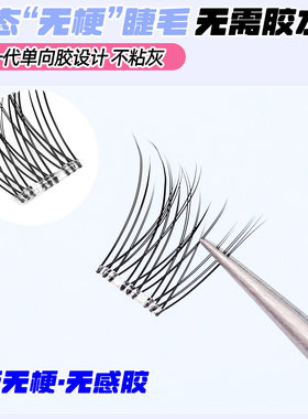 维多利亚无梗星辰花免胶