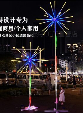 LED烟花灯遥控太阳能庭院景观灯户外商场景区过年节日装饰七彩灯