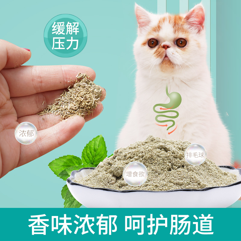 猫薄荷猫咪零食食用猫薄荷草种子幼猫粉末猫饼干棒棒球猫草猫用品 - 图2