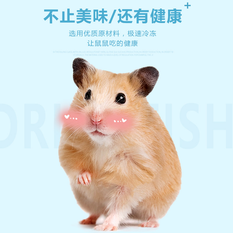 仓鼠冻干零食豆腐块面包虫干营养粮食物组合套餐大礼包金丝熊用品,淘宝优惠券,粉丝福利购,淘宝优惠卷