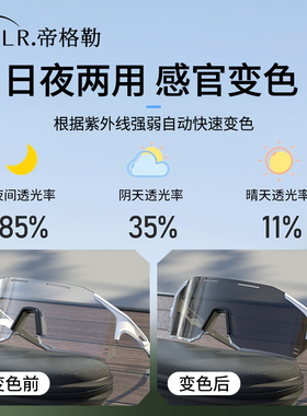 变色骑行眼镜日夜两用防风护目镜