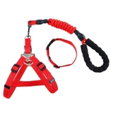 Торгинга собаки, собачья веревка для собак, большая, маленькая, маленькая, маленькая, маленькая, маленькая, маленькая, маленькая, маленькая и маленькая собачья кошачья кошка