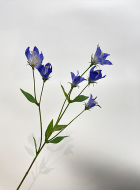 紫色蓝色仿真洋桔梗风铃草风聆花高端中华桔梗装饰花艺插花手捧花