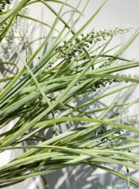 仿真水塔草线性草地被水草仿真绿植植物菖蒲假花插花造景莫奈植被