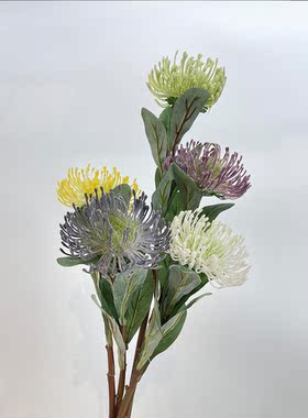 仿真大开针垫花南非帝王花拍摄道具花艺设计手捧花diy假花插花