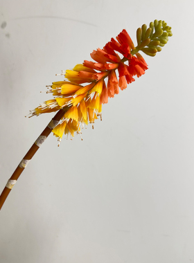 装饰花婚庆摄影道具造景火炬百合