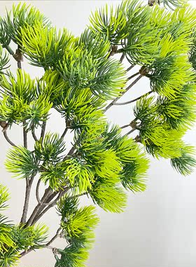 仿真松枝 崖柏装饰叶子松针松柏树罗汉松盆景仿真植物家居装饰