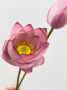 仿真花pu手感荷叶带杆动感莲花莲叶莲蓬假花装饰荷苞仿真荷叶