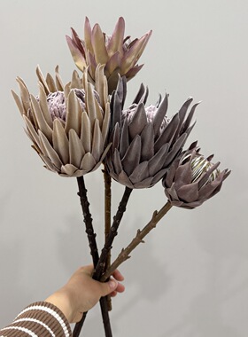 仿真花单枝干枯帝王花干花家居装饰摆件插花花艺软装蓟花假花