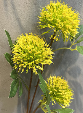 北欧3头蒲公英 茴香葱球 家居装饰 插花配材 婚庆婚纱摄影仿真花